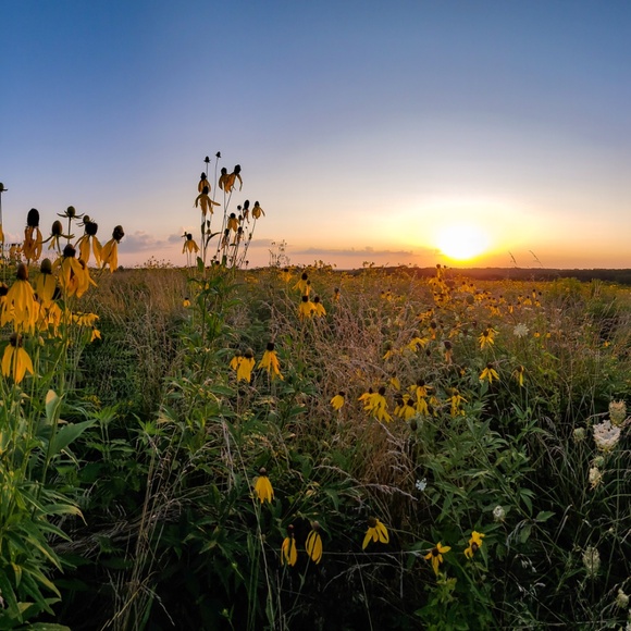 2nd Hand Wins...! - Picture 13 of 16